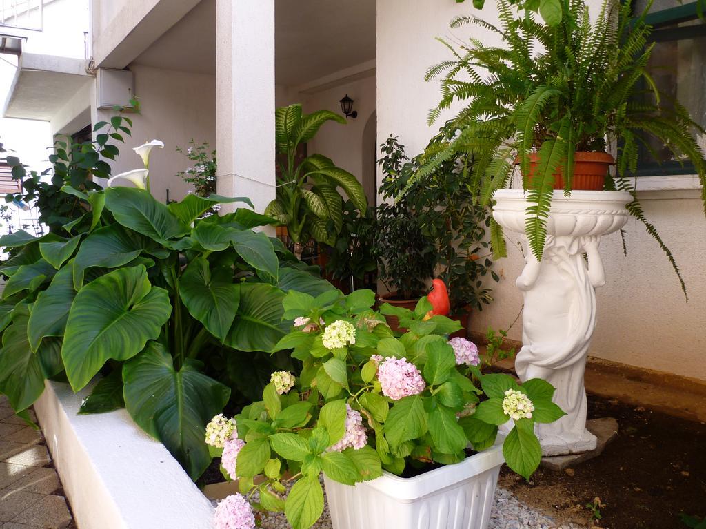 Apartments Sanda Tribunj Tribunj  Ngoại thất bức ảnh
